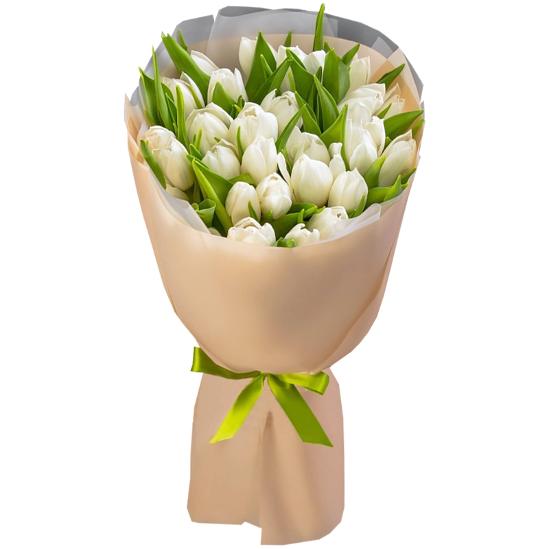 Букет из 25 белоснежных тюльпанов
