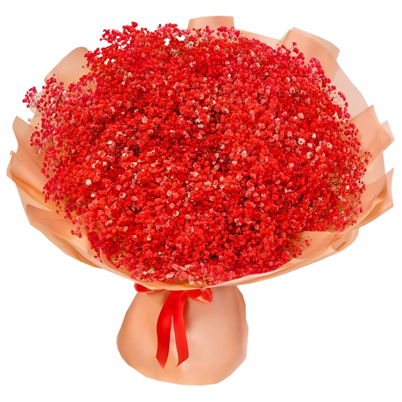 Букет из 51 красной гипсофилы